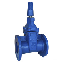SABS664 Flanged Resilient Gate Valve with Nut Operator